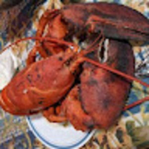 Meet your Posher, Corey